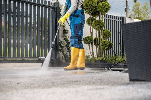 Best Roof Power Washing Services  in Brocton, NY